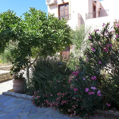 Βίλα Olga With Swimming Pool Αξός